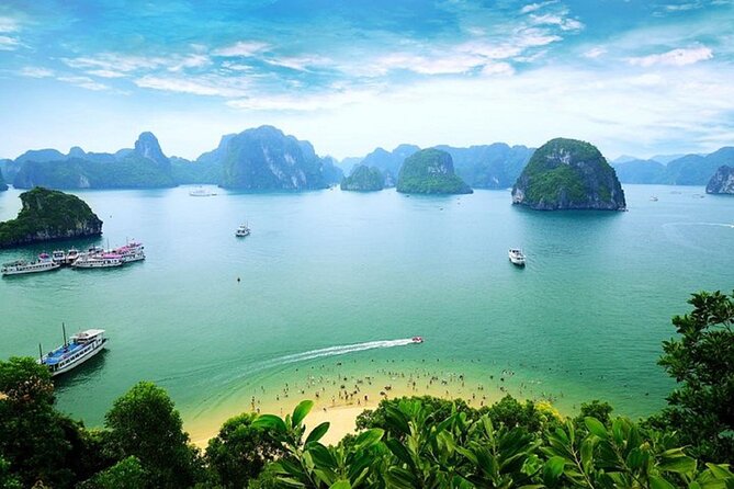 Bai Tu Long Bay 2 Day 1 Night Cruise - Day 2 Morning: Tai Chi at 6:00am and Cave Time by 8:00am