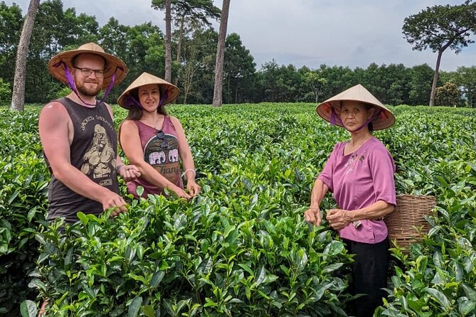 Bavi Eco Tour: Immerse in Authentic Village Life Outside Hanoi - Getting started at 8:00: the Old Quarter pickup that saves stress
