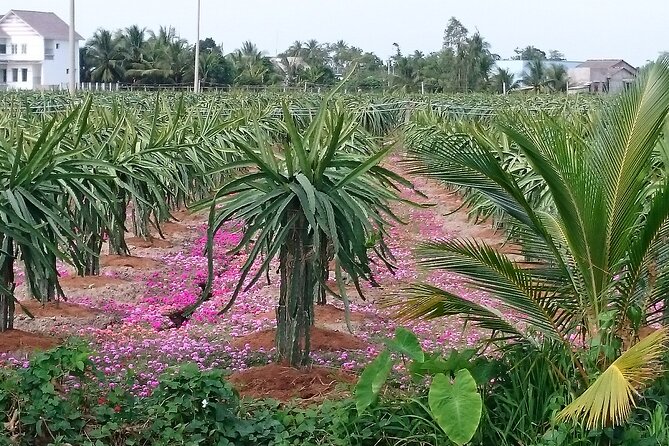 Best mekong delta bike tour - The homestay night near Can Tho: the real reason to go overnight