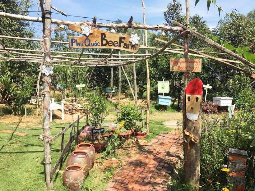 Best Seller Northern Phu Quoc & Kayak Aventure with lunch - Key highlights at a glance
