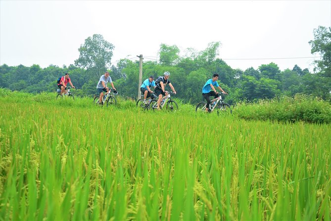 Bicycle Tours Hanoi: Full Day Bicycle Tour Hanoi Countryside - Co Loa citadel day: wet market snacks, lotus lake drinks, and a real anchor sight