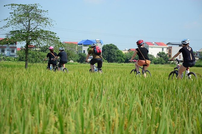 Bicycle Tours Hanoi: Full Day Bicycle Tours City & Countryside - Price and what you really get for $89