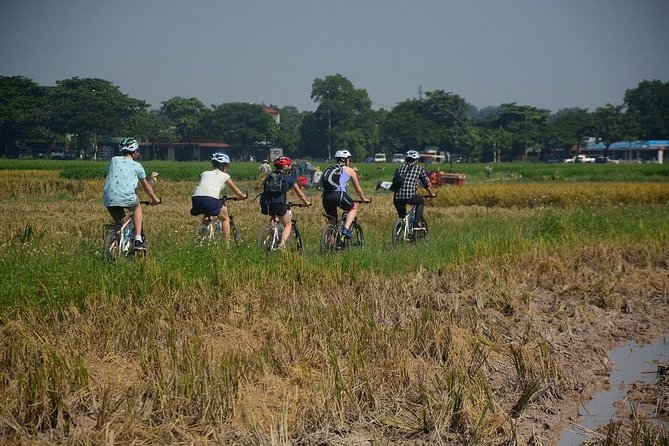 Bicycle Tours Hanoi: Full Day Bicycle Tours City & Countryside - Lại Đà bonsai workshop: tradition you can watch