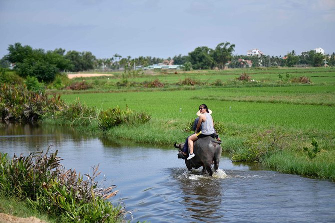 Buffalo Riding and basket boat tour from Da Nang/ Hoi An - Price and value: why $25 can work (and when it might not)
