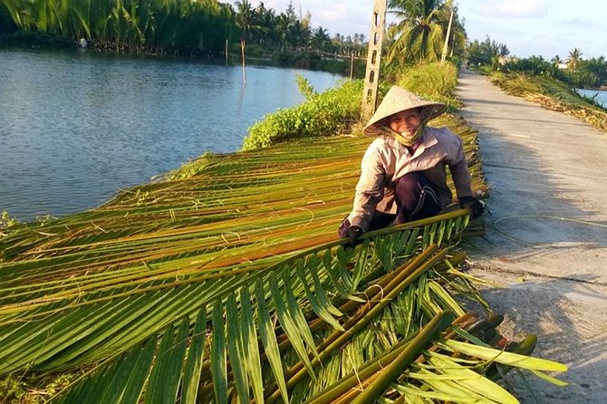 Buffalo Riding and basket boat tour from Da Nang/ Hoi An - The bamboo basket boat through the coconut water forest