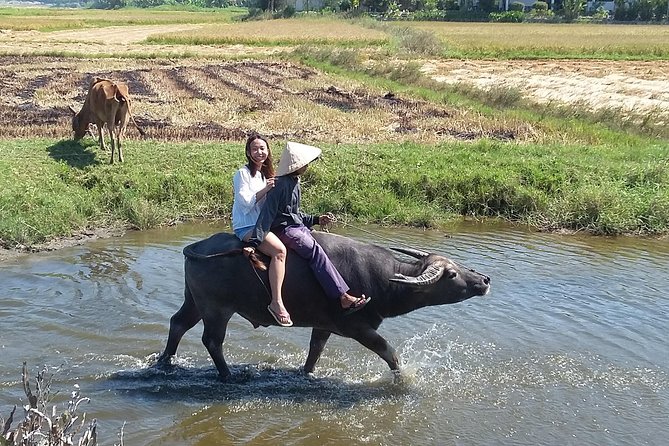 Buffalo Riding and basket boat tour from Da Nang/ Hoi An - Pickup and getting there from Da Nang: smooth and time-specific