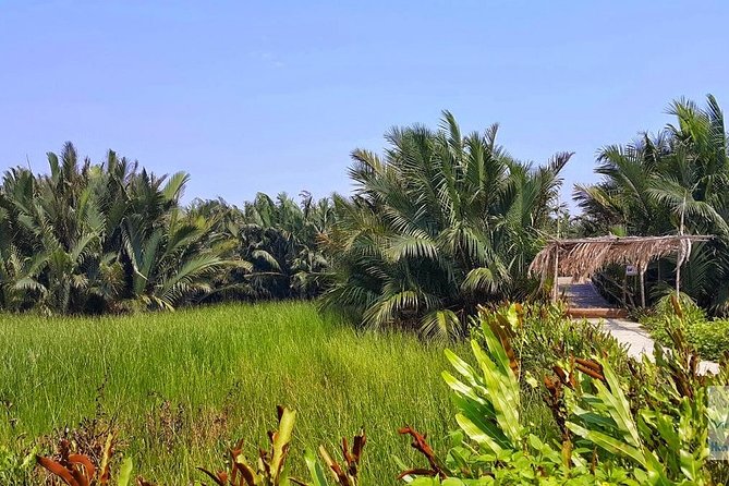 Buffalo Riding, Basket Boat Tour And Cooking Class - Cooking class with Lilly: four dishes and real lunch