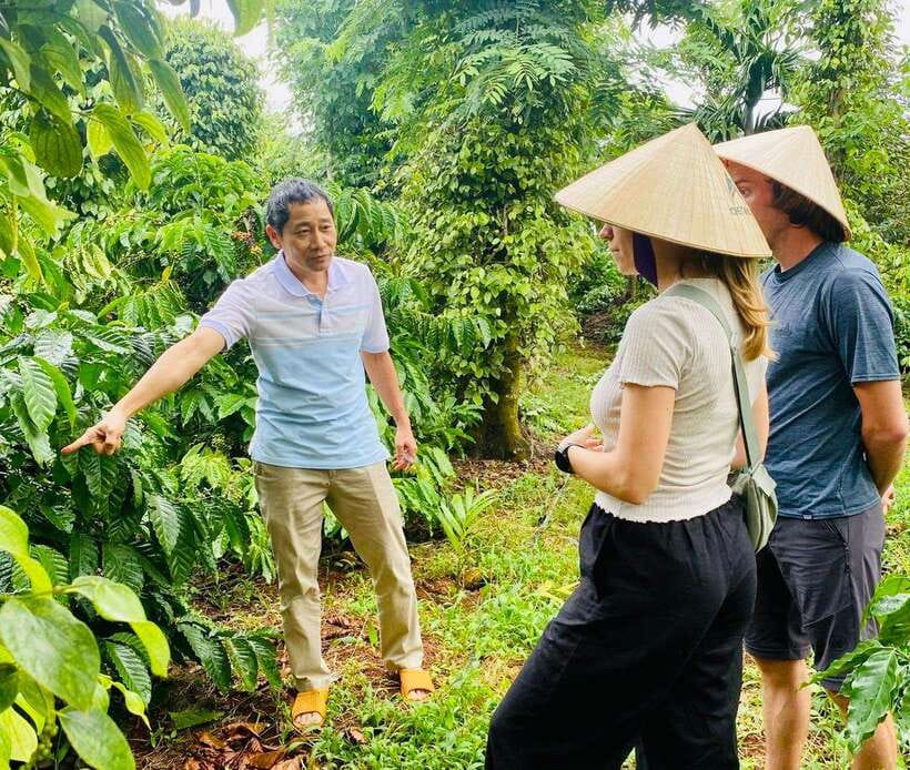 Buon Ma Thuot: Bean to Brew Coffee Farm Tour with Tasting - From Ea Kao to the plantation: the practical start