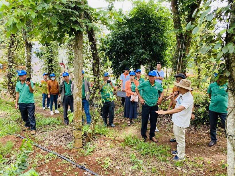 Buon Ma Thuot: Bean to Brew Coffee Farm Tour with Tasting - A few simple tips to get the most out of your hour