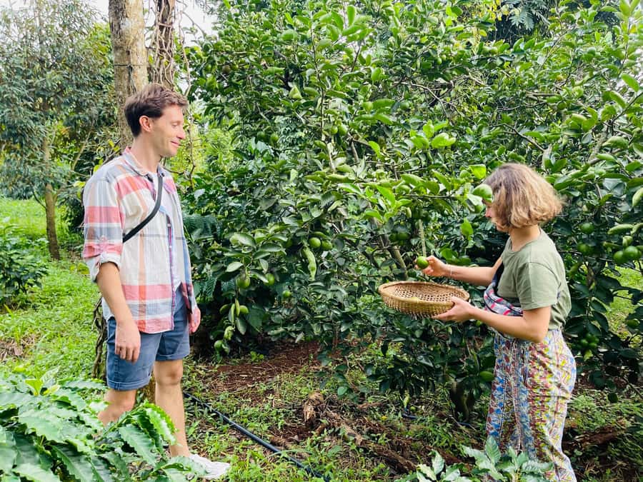Buon Ma Thuot: Coffee Farm Tour (Bean to Brew) with Pickup - Coffee Capital in 90 Minutes: Pickup, Timing, and the Overall Flow