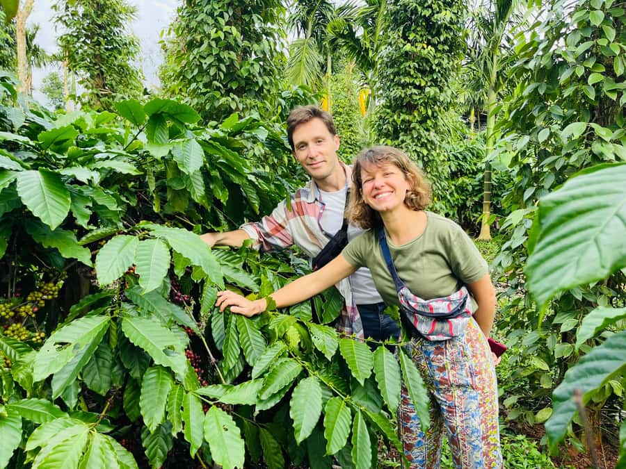 Buon Ma Thuot: Coffee Farm Tour (Bean to Brew) with Pickup - From Wet-Dry to Your Cup: How the Processing Shapes Flavor