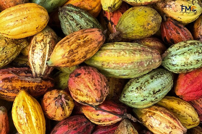 Cai Rang floating market, Cacao & hidden small canal - Quiet canal cruising in Rạch Trường Tiên
