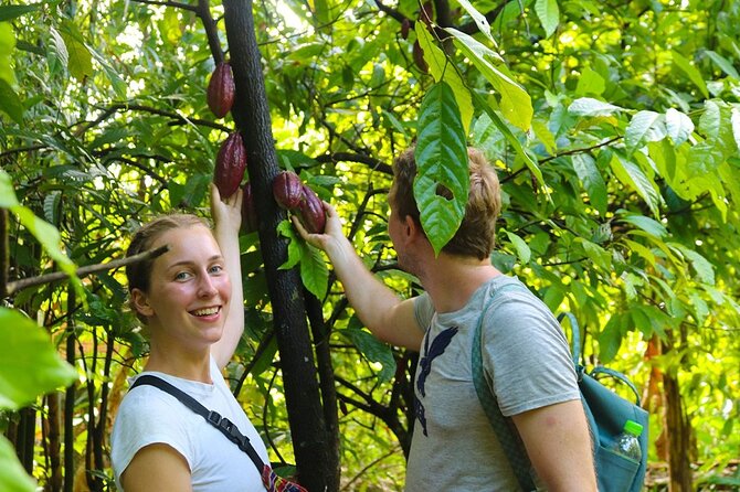 Cai Rang floating market, Cacao & hidden small canal - Is $33 good value? What you get for the money
