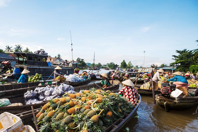 Cai Rang Floating Market & Mekong Delta 2-Day Tour from HCM City - Key points before you go