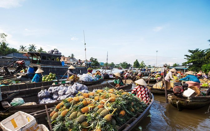 Cai Rang Floating Market & Mekong Delta Private 1-Day Tour - Why the 5:00 AM start is the whole point