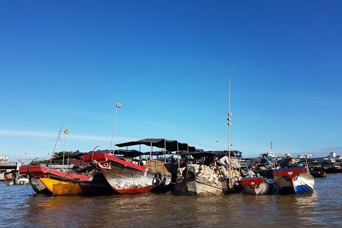 Cai Rang Floating Market Tour -Amazing Can Tho - Stop 3: Muoi Cuong cocoa farm and the story behind chocolate