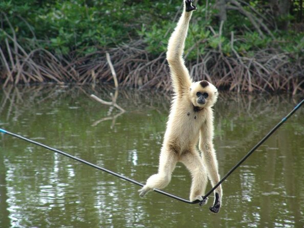Cần Giờ Eco-Tour with Monkeys, Crocs & War History - The pickup and van ride: comfort matters on a long outing