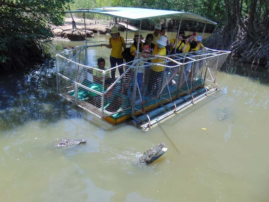 Can Gio: Monkey Island, Guerilla Camp, Mangrove Forest - Price and Logistics: What $30 Really Buys You