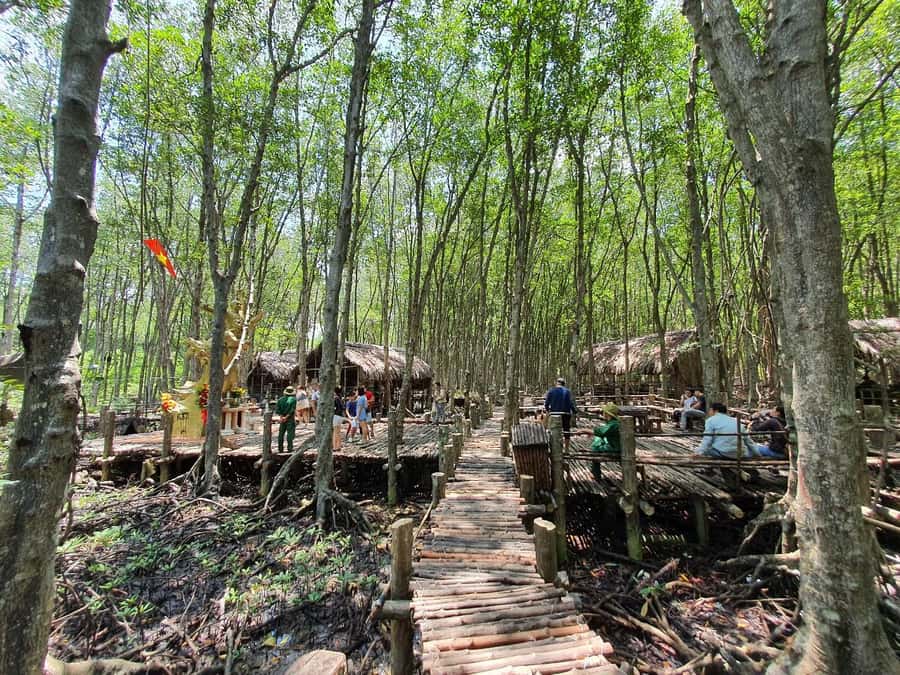 Can Gio: Monkey Island, Guerilla Camp, Mangrove Forest - Mangrove Forest Wildlife: Where the Day Feels More Like Nature Than a Stop