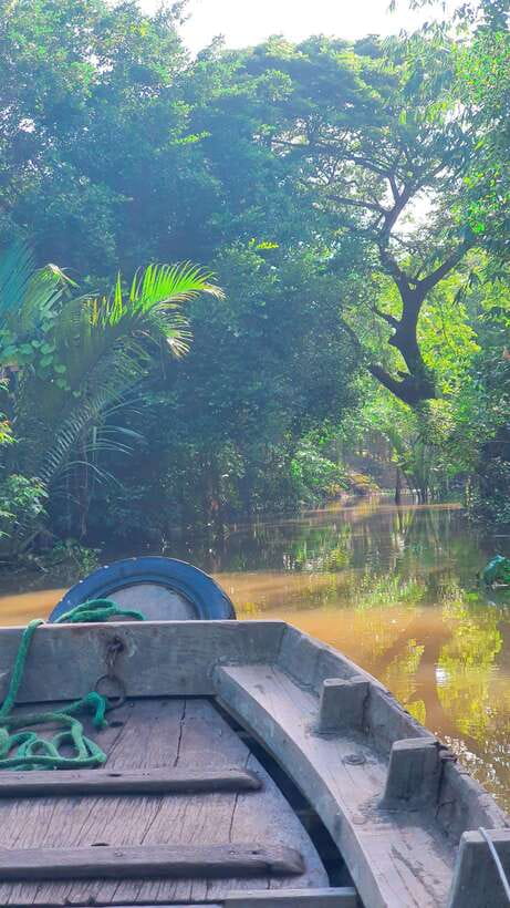 Can Tho: Authentic Mekong Delta – Real Local Life Tour. - Tropical fruits and green tea in a garden hut