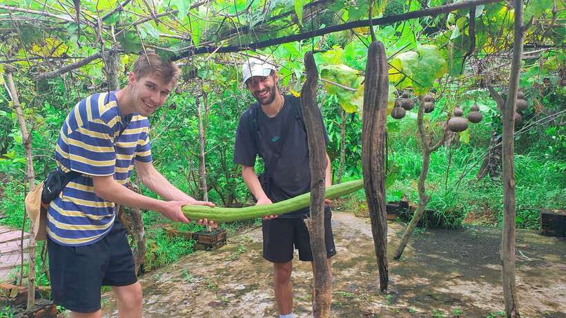 Can Tho: Authentic Mekong Delta – Real Local Life Tour. - Timing, heat, and what the half-day pace really feels like