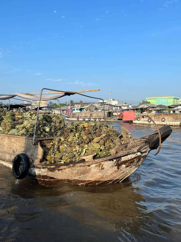 Can Tho: Cai Rang Floating Market and Canals - From Bến Phà Xóm Chài to Cai Rang: why the morning matters