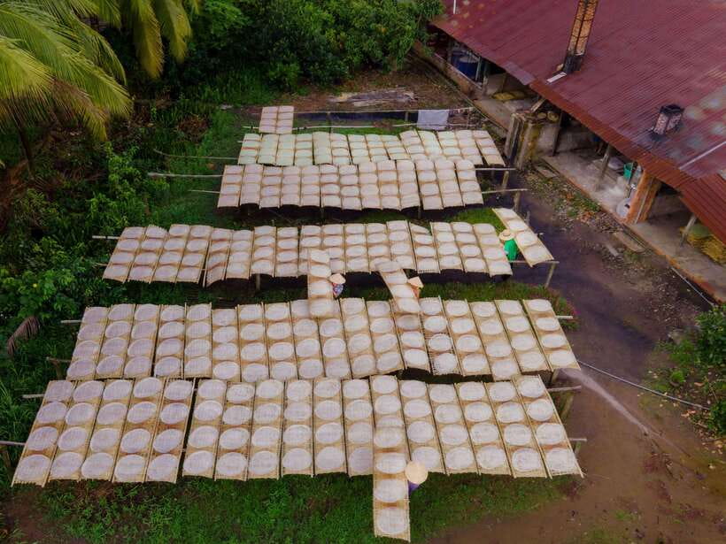Can Tho: Explore Mekong, Floating Market, Cacao & Local Life - Village walk and tropical fruit gardens: short, sweet, and local