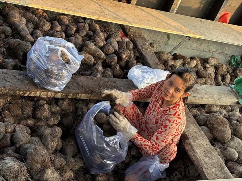 Can Tho: Floating Market, Cacao & Canals with French Guide - Pace, Comfort, and What to Pack for a 5:30 AM Departure