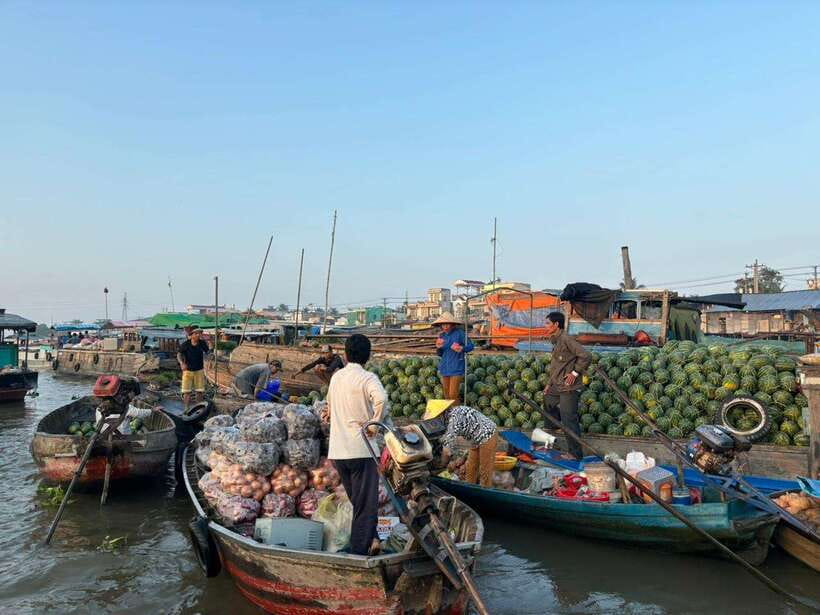 Can Tho: Floating Market, Canal, Cacao Farm & Mekong' Life - Small boat cruising: getting the Mekong Delta view you can’t get from land