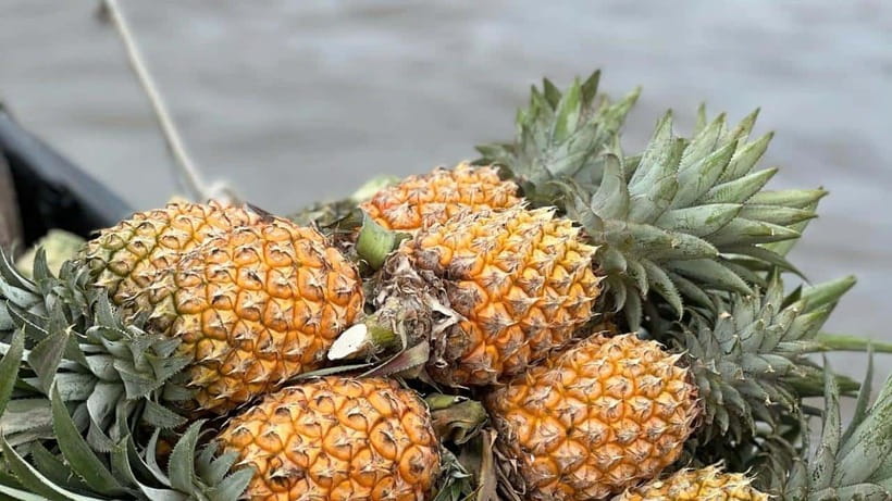 Can Tho: Floating Market explore local life, Mekong farm - Key things to know before you go