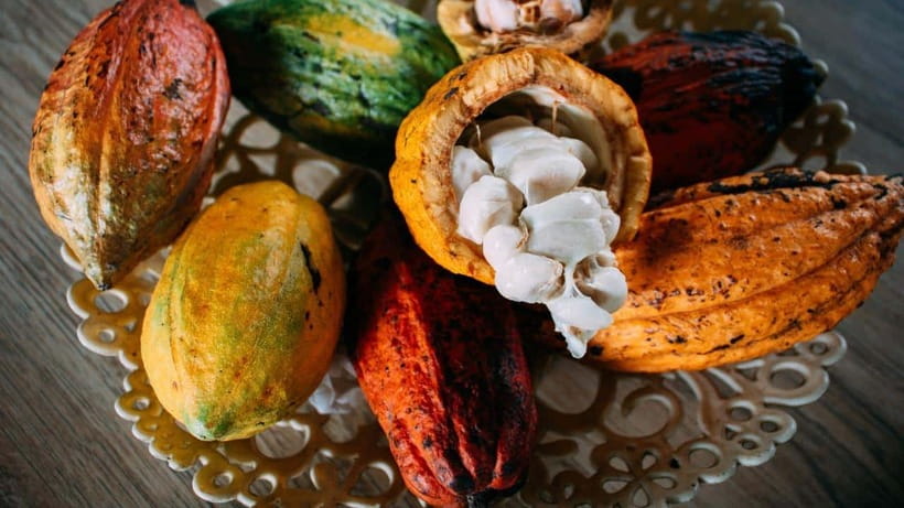 Can Tho: Floating Market explore local life, Mekong farm - Who should book this Cần Thơ community ecotour