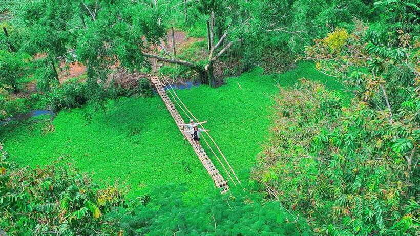 Can Tho: Floating Market & Lung Ngoc Hoang Nature Reserve - Traditional noodle house: where food feels like family work
