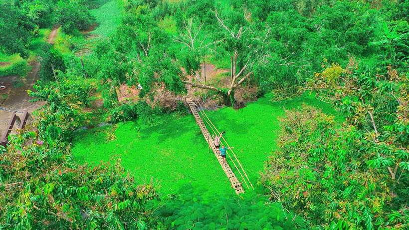 Can Tho: Floating Market & Lung Ngoc Hoang Nature Reserve - Bamboo basket weaving village: try the craft, not just watch it