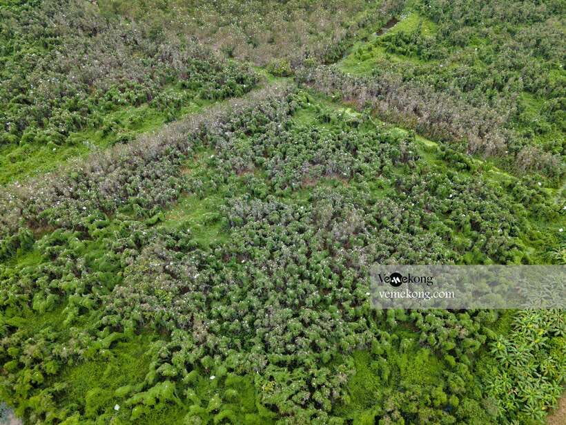 Can Tho: Lung Ngoc Hoang Forest Nature Reserve Half-Day Tour - Why I’d pick Lung Ngoc Hoang from Can Tho