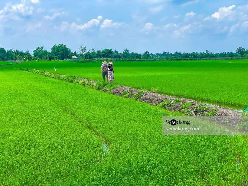 Can Tho: Lung Ngoc Hoang Forest Nature Reserve Half-Day Tour - What to bring (and what can ruin the experience fast)