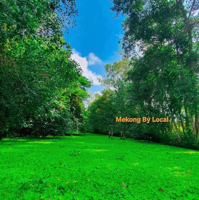 Can Tho: Lung Ngoc Hoang Forest Nature Reserve Tour - The boat ride through narrow canals: where the reserve goes silent