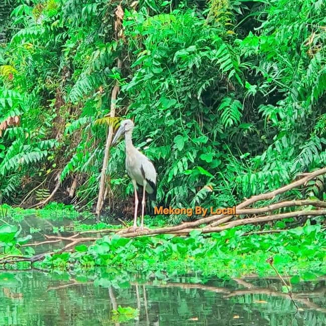 Can Tho: Lung Ngoc Hoang Nature Reserve and Mekong's Soul. - Bamboo baskets: watching craft work and then trying it yourself