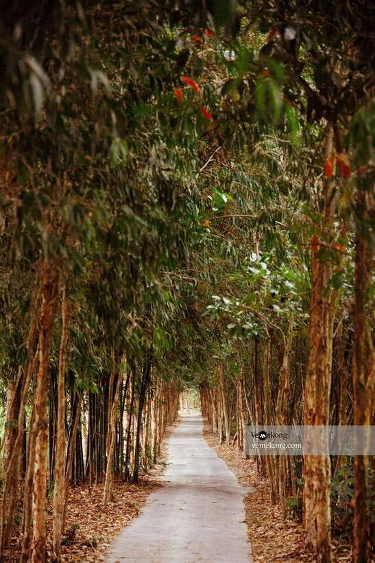Can Tho: Lung Ngoc Hoang Nature Reserve & Forest Tour - Key things to know before you go