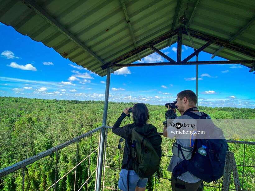 Can Tho: Lung Ngoc Hoang Nature Reserve & Forest Tour - A half-day green break from Can Tho’s river traffic