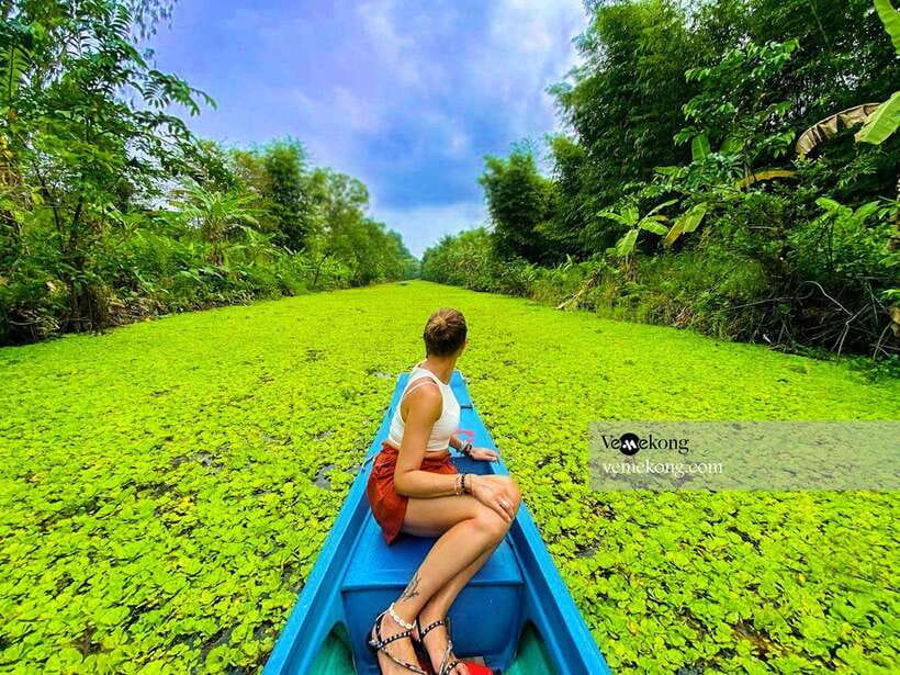 Can Tho: Lung Ngoc Hoang Nature Reserve & Forest Tour - The 25-meter observation tower and seasonal rice-field views