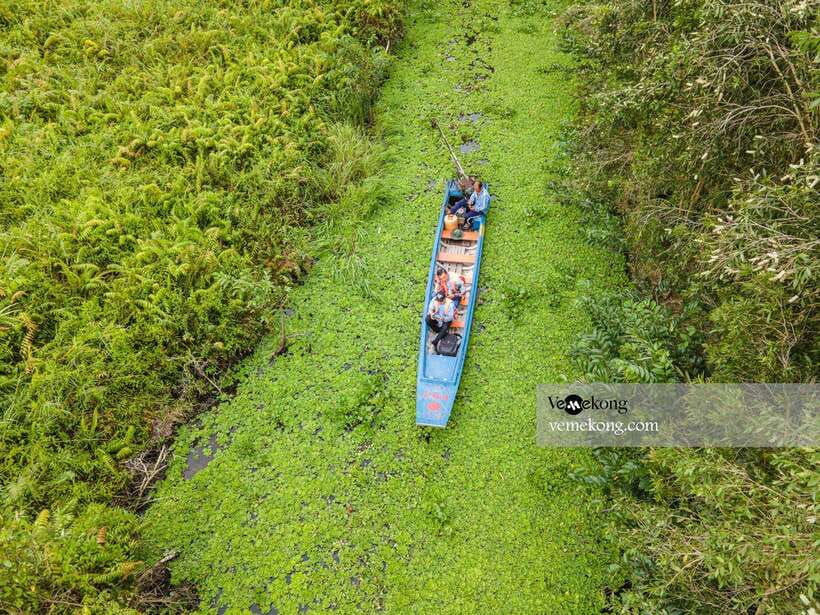 Can Tho: Lung Ngoc Hoang Nature Reserve & Forest Tour - The giant ficus microcarpa: more than a tree photo