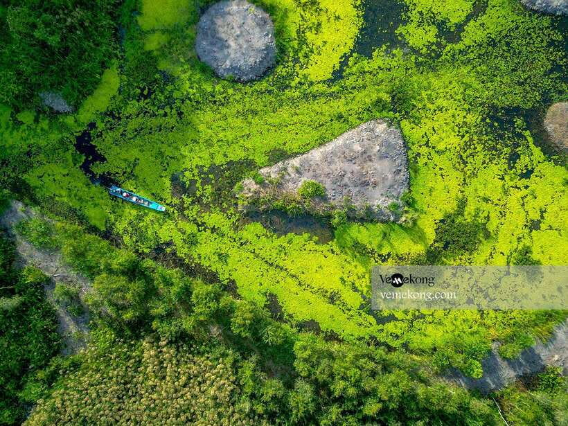 Can Tho: Lung Ngoc Hoang Nature Reserve & Forest Tour - Your guide really shapes the experience (Duy, Lâm, Thomas, Minh, Nhu Y)