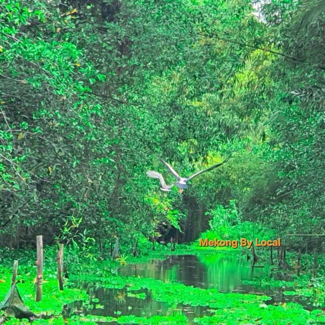 Can Tho: The Untouched Mekong for Nature Souls - What to bring, and how to make the day smoother