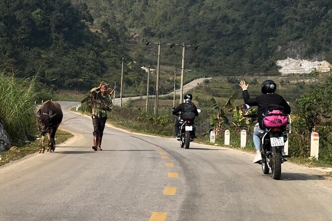 Cao Bang: Ban Gioc Waterfall Full-Day With Local Guide - The morning plan: pickup at Lương Sơn Homestay and breakfast that fuels a long day