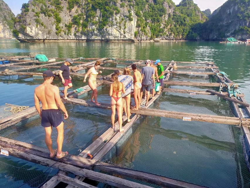Cat Ba: 2-Day Lan Ha Bay Cruise with Plankton Excursion - Day 2 caves, jellyfish-like lagoon time, and the three-beach day flow