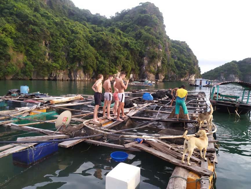 Cat Ba: 2-Day Lan Ha Bay Cruise with Plankton Excursion - Meals and the real value of what’s included (and what isn’t)