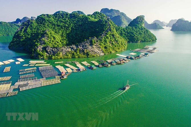 Cat Ba Cruise 2 Days 1 Night - Price and value: what $90 buys, and what can cost extra