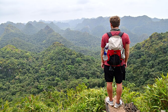 Cat Ba Cruise 2 Days 1 Night - Meals and the included cabin setup: comfort without overpaying