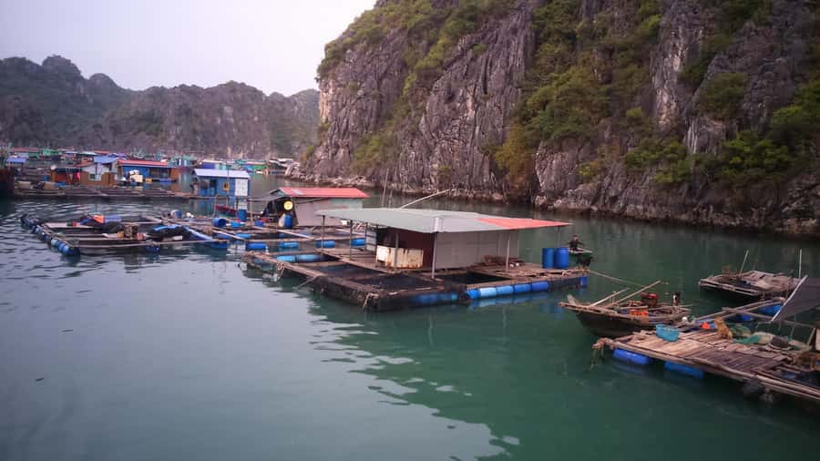 Cat Ba Island: Full-Day Cruise to Lan Ha Bay and Ha Long Bay - Key Things You’ll Notice on This Cat Ba Bay Cruise