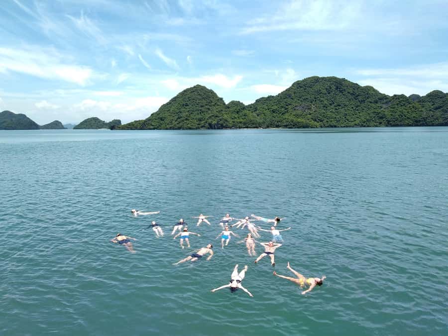 Cat Ba Island: Full-Day Cruise to Lan Ha Bay and Ha Long Bay - Lunch on the Boat: Included Set Menu (and Veg Options)